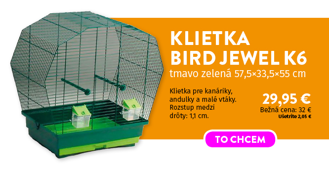 Klec Bird Jewel K6