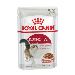 Royal Canin Feline Instinctive - kapsička mäso v šťave pre dospelé mačky 85 g