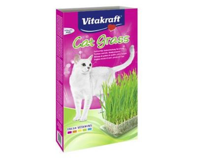 Vitakraft Cat Gras Tráva pre mačku 120 g