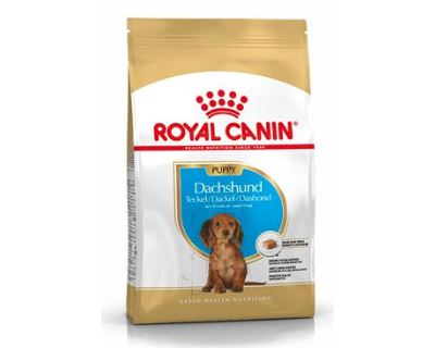 Royal Canin Breed Jazvečík Junior 1,5 kg