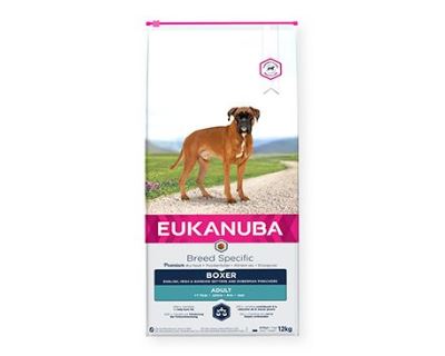 Eukanuba Boxer