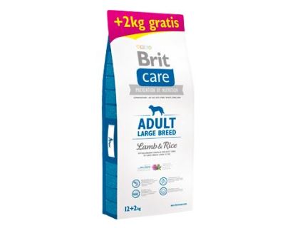 Brit Care Dog Adult Large Breed Lamb & Rice 12+2kg