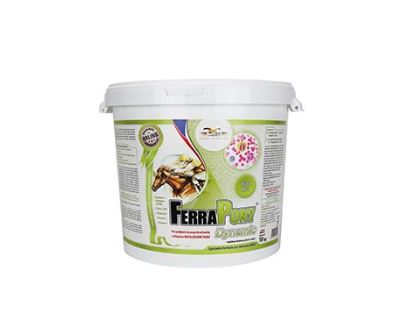 Ferrapony Dynamic 10kg