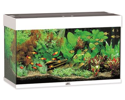 Juwel Rio 125 akvárium set bielej 81x36x50 cm, objem 125 l