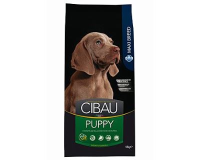 CIBAU Granule Puppy Maxi 12kg+2kg ZDARMA