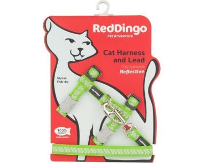 Postroj Red Dingo s vodítkem - reflexní - zelená ziggy