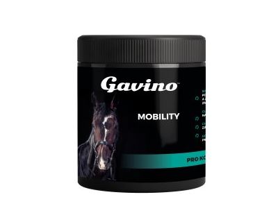 Gavino MOBILITY 700g