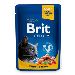 Brit Premium Cat kapsa Salmon &amp; Trout 100 g