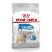 Royal Canin Mini Light Weight Care 3kg