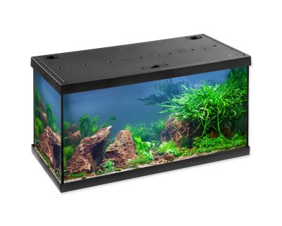 Akvárium set EHEIM Aquastar LED černé 54l