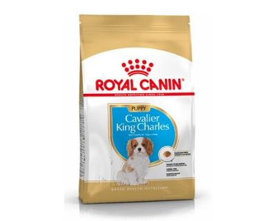 Royal Canin BREED Kavalír King Charles Junior 1,5 kg