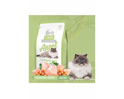 Brit Cat Angel I`m Delighted Senior - kura & ryža pre mačky nad 8 rokov 7 kg