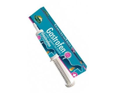 MERVUE GASTROFEN - pasta 80ml