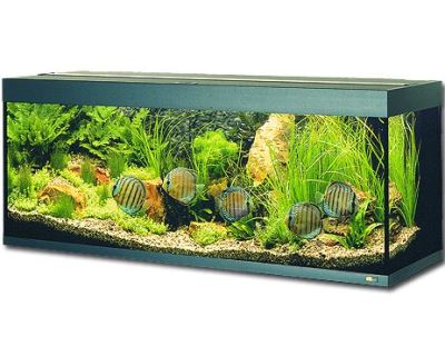 Juwel Rio 300 akvárium set čierny 121x51x66 cm, objem 300 l