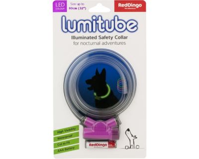Obojok pre psov svietiace - Red Dingo Lumitube led - fialový - 15 - 80 cm