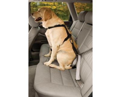 Kurgo Bezpečnostní autopás pro psa s ouškem Seatbelt Tether