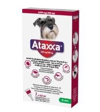 Ataxxa pro psy L 1x1250mg/250mg zelená sol 1 x 2.5 ml