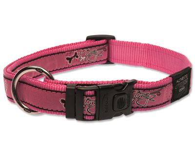Obojok pre psa nylonový - Rogz Fancy Dress Pink Bones - 2,5 x 43-70 cm