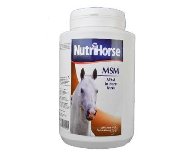 Nutri Horse MSM pro koně plv 1kg