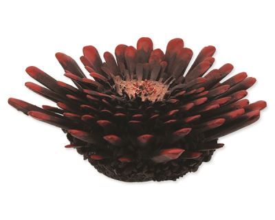 Dekorace AQUA EXCELLENT Mořský korál červenočerný 9,5 x 9,5 x 3,4 cm