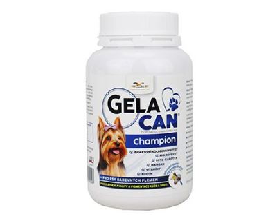 Gelacan Champion psi  barevná plemena 150g