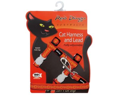 Red Dingo Postroj s vodítkem - kočka - Cosmos Orange