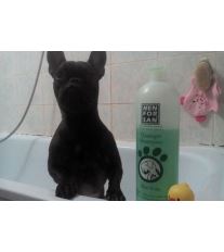 Menforsan Zklidňující hojivý přírodní šampon pro psy s Aloe Vera