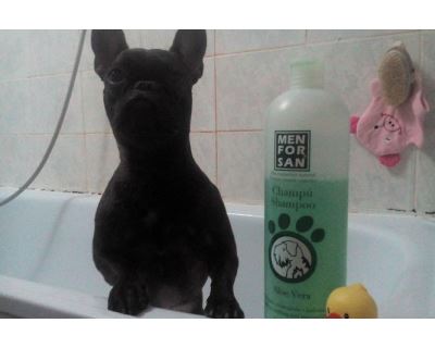 Menforsan Zklidňující hojivý přírodní šampon pro psy s Aloe Vera