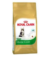 Royal Canin Breed Feline Kitten Maine Coon