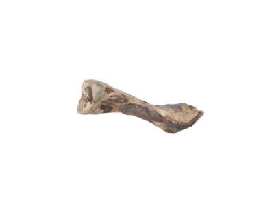 Pochoutka pes kost od šunky 24cm