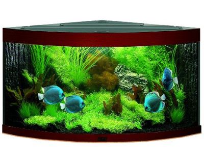 Juwel Trigon 190 akvárium set rohový tmavo hnedý 98x60x50 cm, objem 190 l