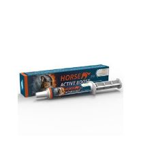 Horse Active Boost perorální pasta 1x20g