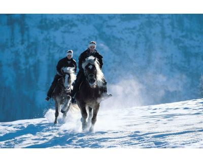 Zima s koňem