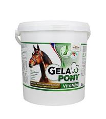 Gelapony VitaMin 900g (2)