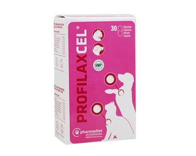 PROFILAXCEL pro psy a kočky 30tbl