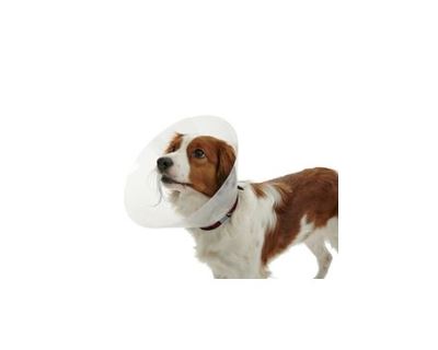 Golier ochranný BUSTER plastový Classic Collar 7,5cm
