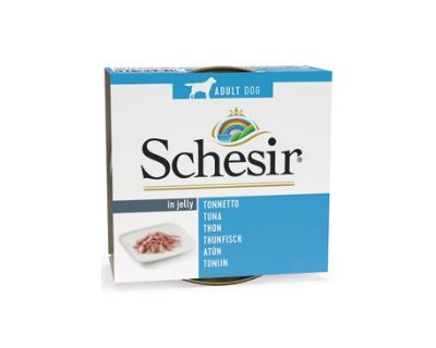 Schesir Dog konz. Adult tuňák 150G