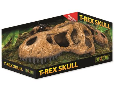 Dekorace EXO TERRA T-Rex lebka