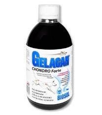 Gelacan Chondro Forte Biosol 500ml