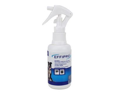 Effipro Spray 500ml