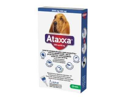 Ataxxa pro psy XL 1x2000mg/400mg fialová sol 1 x 4.0 ml