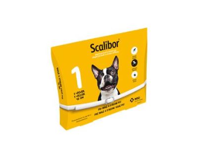 Intervet Scalibor Protectorband Antiparazitný obojok pre psov