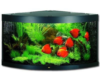 Juwel Trigon 350 akvárium set rohový čierny 123x87x65 cm, objem 350 l