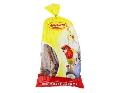 Proso AVICENTRA senegalské klasy