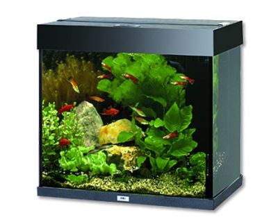 Juwel Lido 120 akvárium set čierny 61x41x58 cm, objem 120 l