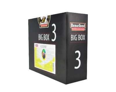 Acidomid H holubi BigBox 3l