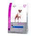 Eukanuba Boxer