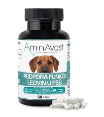 AminAvast Pes 60 cps