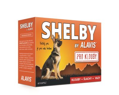 ALAVIS Shelby PRO KLOUBY 60 kapslí