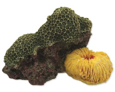 Dekorace AQUA EXCELLENT Mořský korál zelenožlutý 12,5 x 9,5 x 7,6 cm